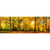 Wechselmotiv Waldlandschaft im Herbst Panorama Motive wandbild.com