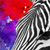 Canvalight® Leuchtbild Zebra Pop Art No.1 Hochformat Zoom wandbild.com