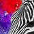 Spannbild Zebra Pop Art No.1 Hochformat Zoom wandbild.com