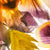 Spannbild Blumen Collage No.1 Querformat Wandbild 3