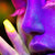Spannbild Frau im Neonlicht Panorama Wandbild 3